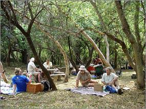 activities-at-puschka-farm-picnicking.jpg activities-at-puschka-farm-picnicking.jpg